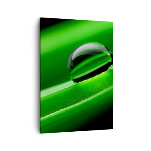 Vászonkép - Élet közelről - 50x70 cm