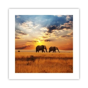 Poszter - Családi séta - 40x40 cm