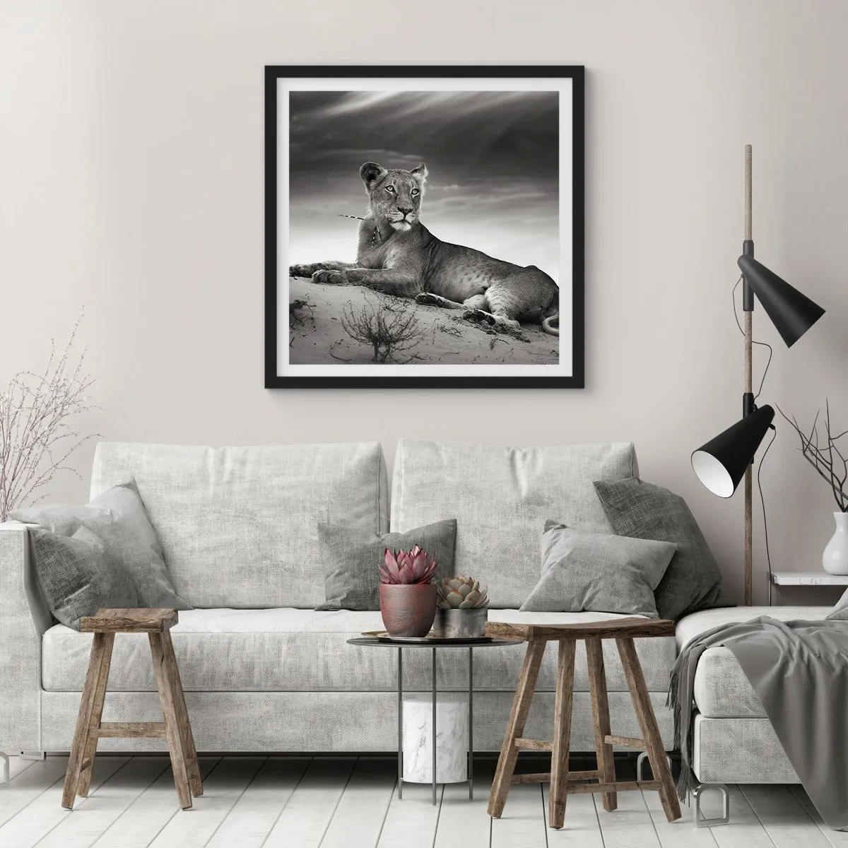 Poszter fehér keretben - A sivatagi királynő pihenése - 30x30 cm