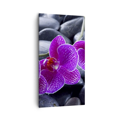 Vászonkép - A kövek kivilágosodtak az örömtől - 55x100 cm