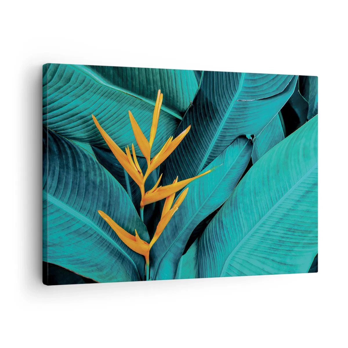 Vászonkép - Egy egzotikus virág türkiz árnyalatú banánlevelek hátterében. - 70x50cm - Éden virága - Modern fali dekoráció nappalihoz és hálószobához ARTTOR