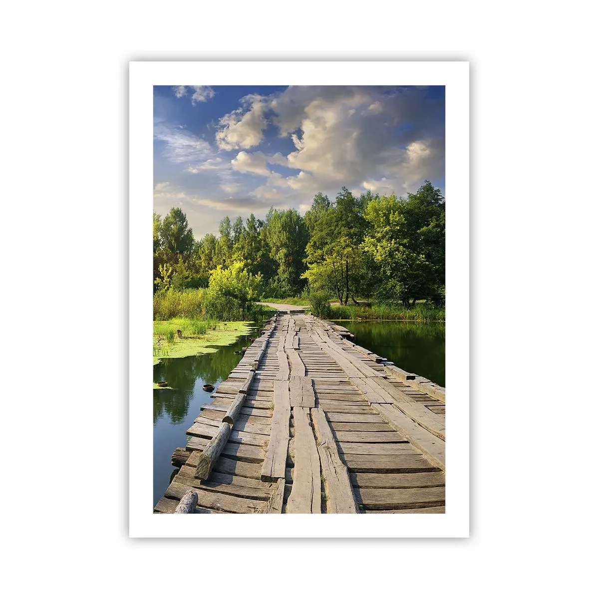 Poszter - Nyár, mindenhol nyár - 50x70 cm