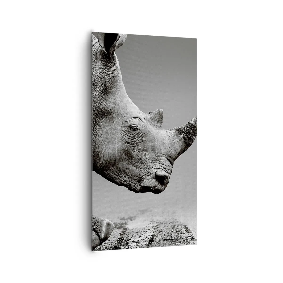 Vászonkép - Megállíthatatlan erő - 65x120 cm