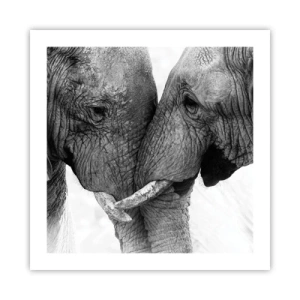 Poszter - Szívélyes vallomás - 50x50 cm