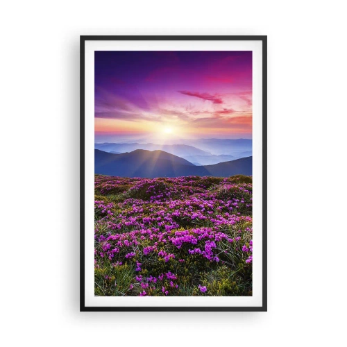 Poszter fehér keretben - A gyógynövények friss fürtjei illatoztak a mezőkről - 61x91 cm