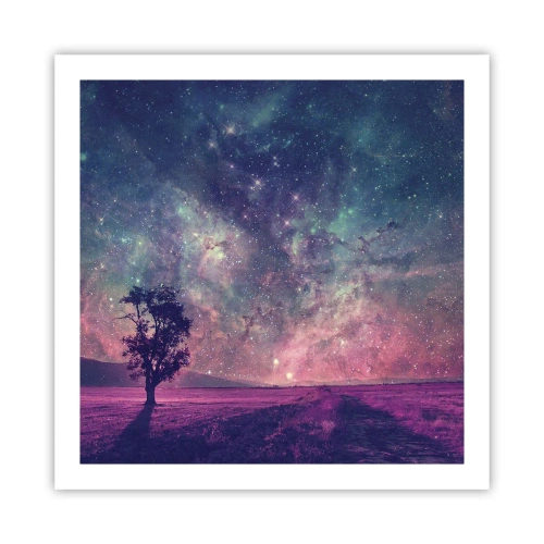 Poszter - Varázslatos ég alatt - 60x60 cm