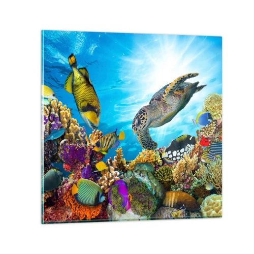 Üveg kép - Korall sétány - 70x70 cm