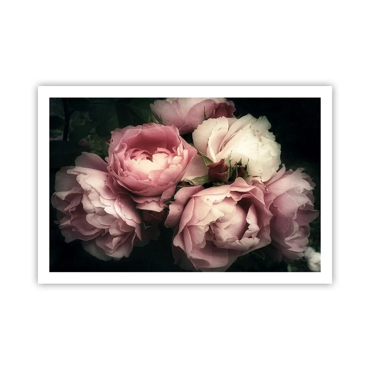 Poszter - Belle epoque varázs - 91x61 cm