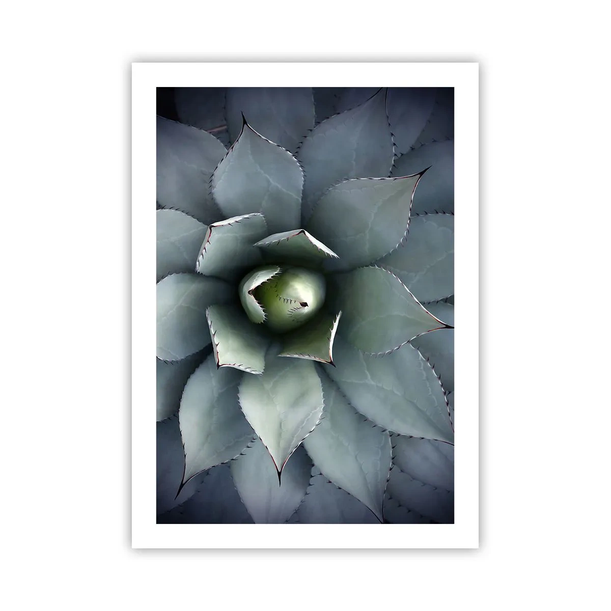 Poszter - Wabi és figyelmeztetés - 50x70 cm