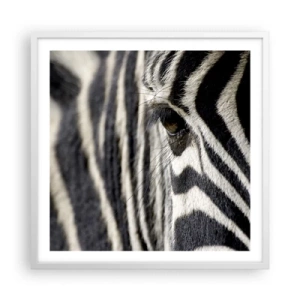 Poszter fekete keretben - Csíkos portré - 60x60 cm