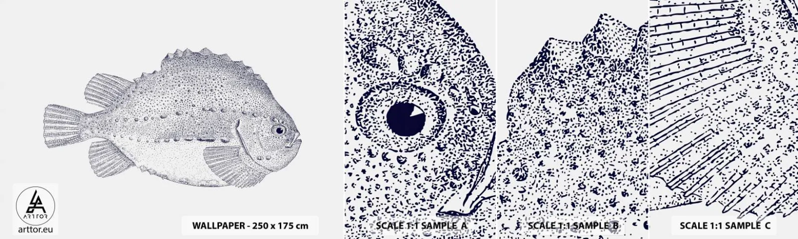 Fotótapéta Minta Standard Eco - A természettudós albumába - Hal, Tengeri, óceán - 100x30 cm