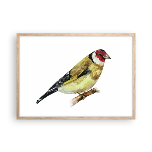 Poszter világos tölgy keretben - Madárportré - 70x50 cm