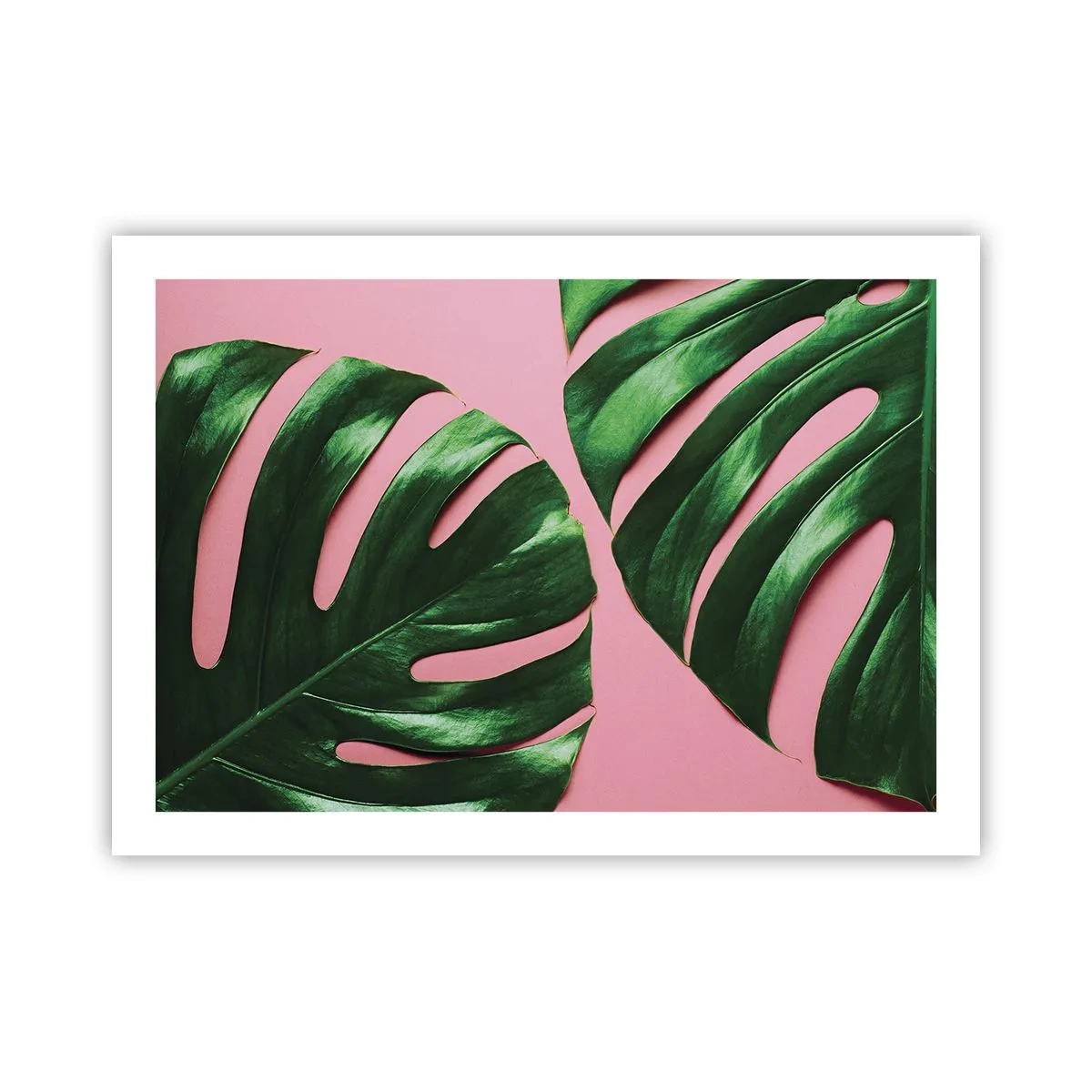 Poszter - Zöld rendez-vous - 70x50 cm