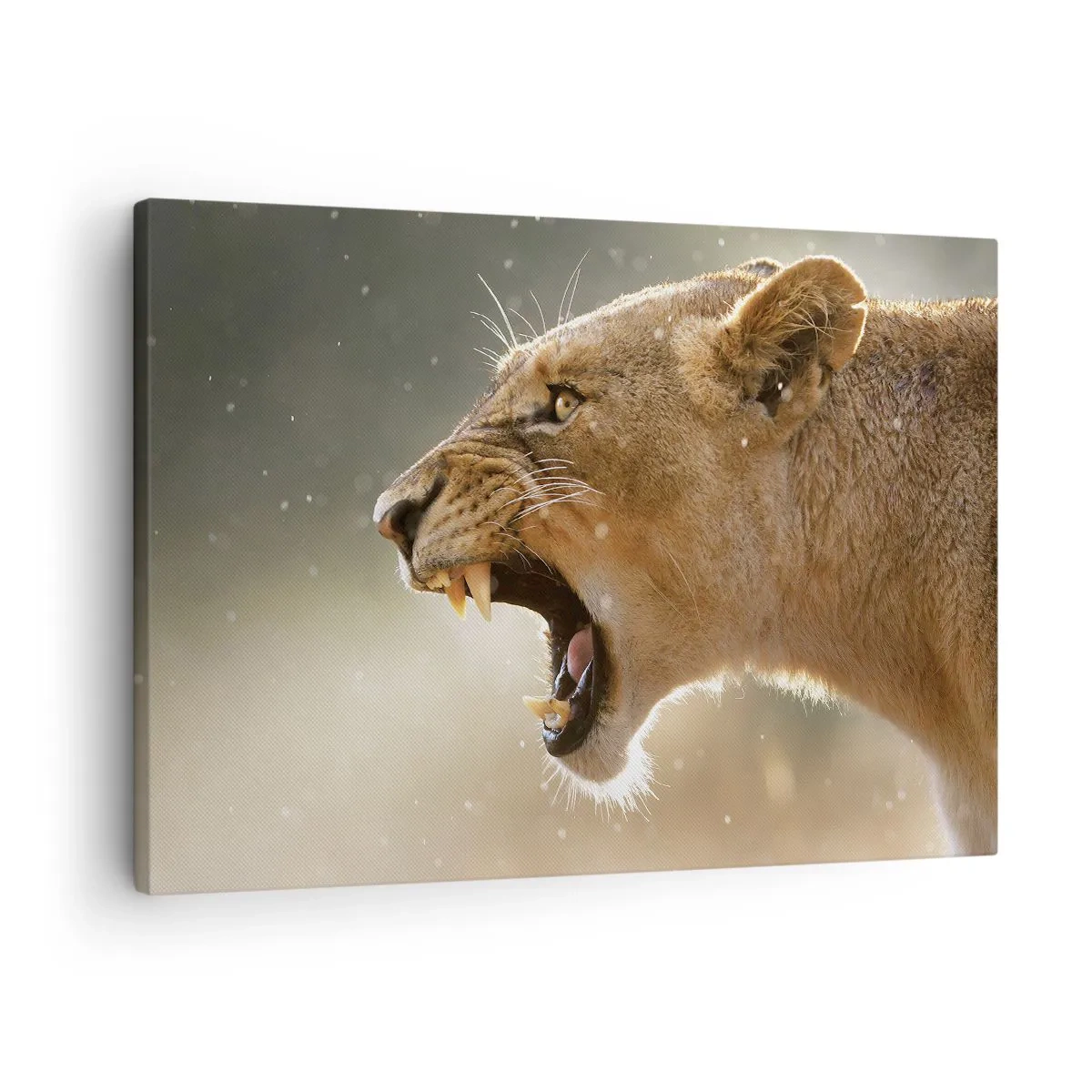 Vászonkép - Próbálj meg nem hallgatni - 70x50 cm