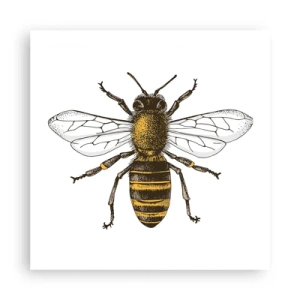 Poszter - Gyönyörű és jó - 50x50 cm