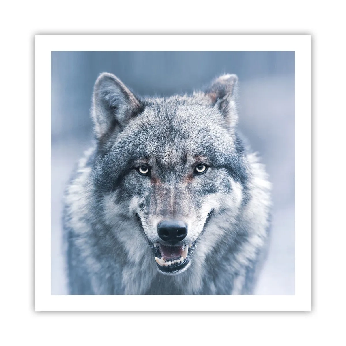 Poszter - Vállalod a kihívást? - 60x60 cm