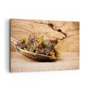 Vászonkép - Színes virágok és illatos gyógynövények - 120x80 cm