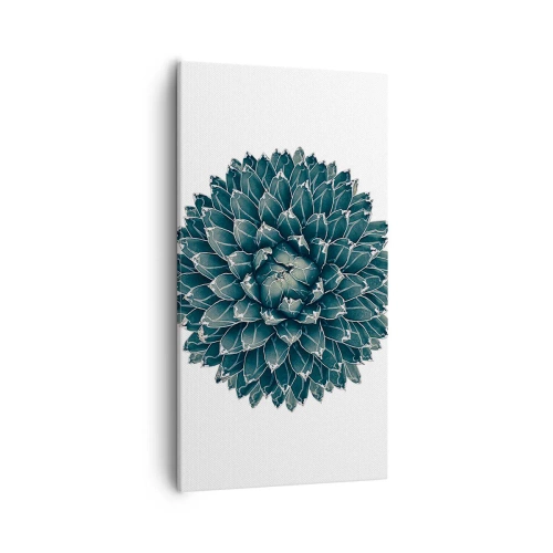 Vászonkép - A sivatag csillaga - 55x100 cm