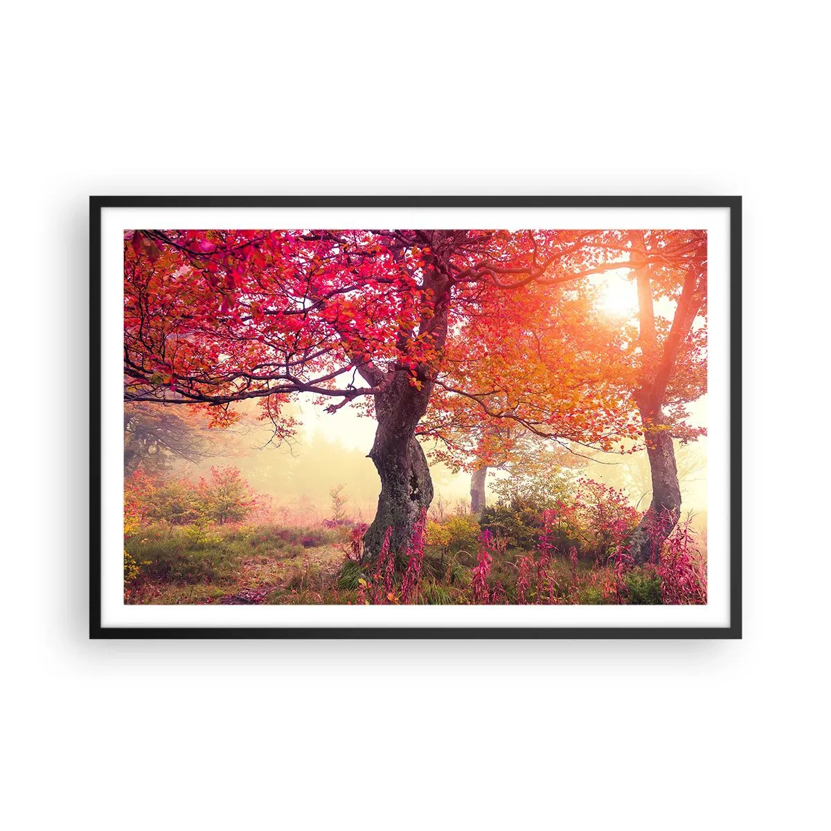 Poszter fehér keretben - Virágzás őrülete - 91x61 cm