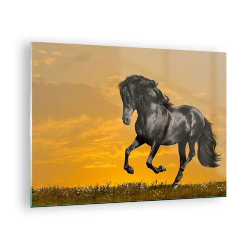 Üveg kép - Egy fekete ló vágtat a lenyugvó nap ellen - 70x50cm - Gyönyörű, szabad és vad - Modern fali dekoráció nappalihoz és hálószobához ARTTOR