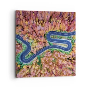 Vászonkép - Kanyargós út az erdőn keresztül - 70x70 cm