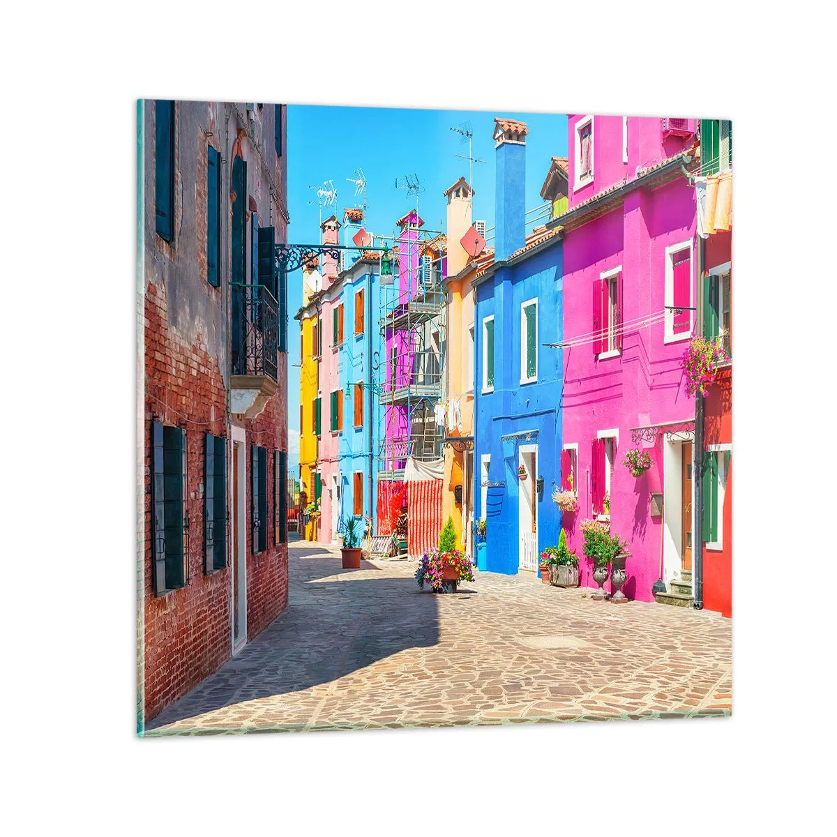 Üveg kép - Város "A papagájoknál" - 70x70 cm