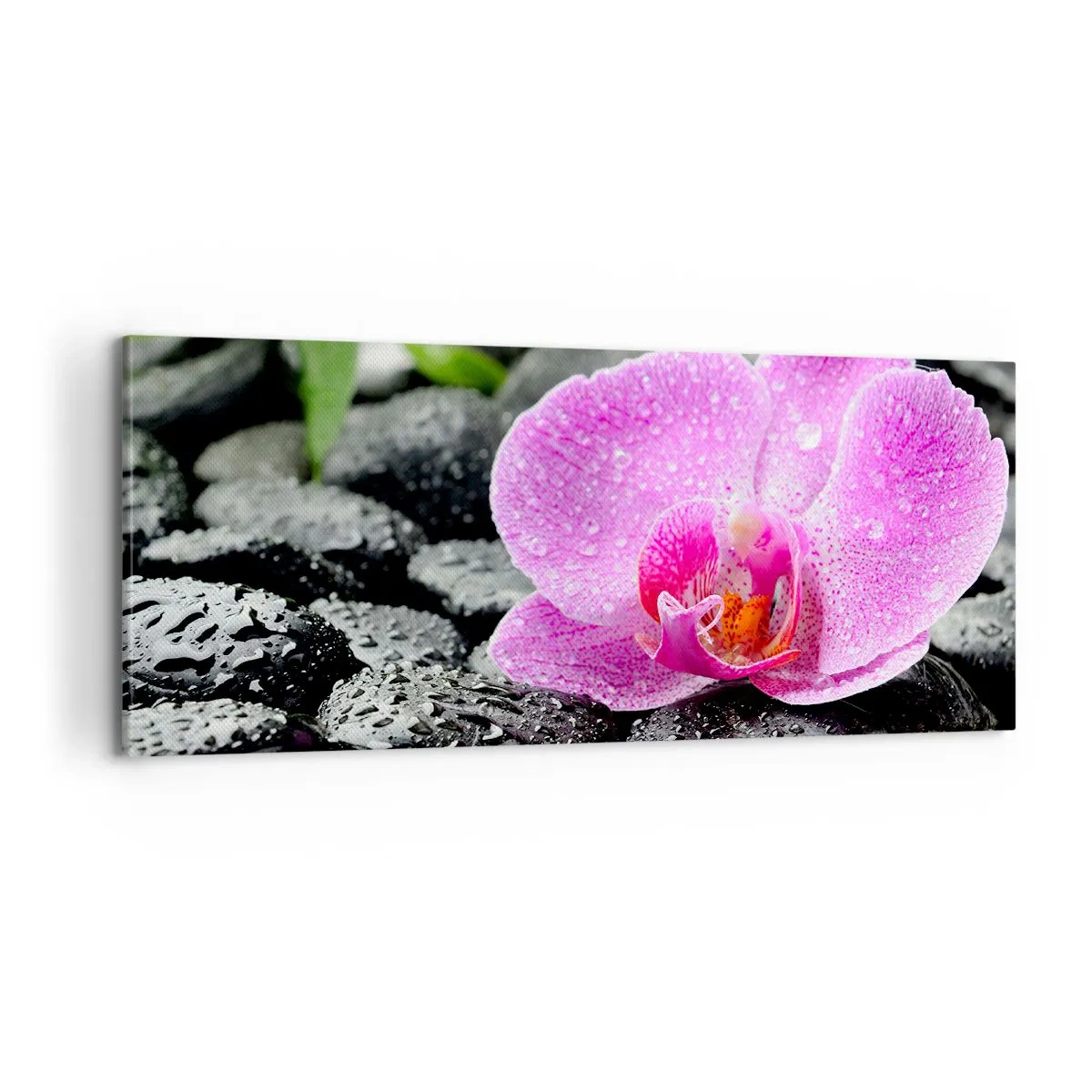 Vászonkép - Mint egy nyitott szív - 100x40 cm