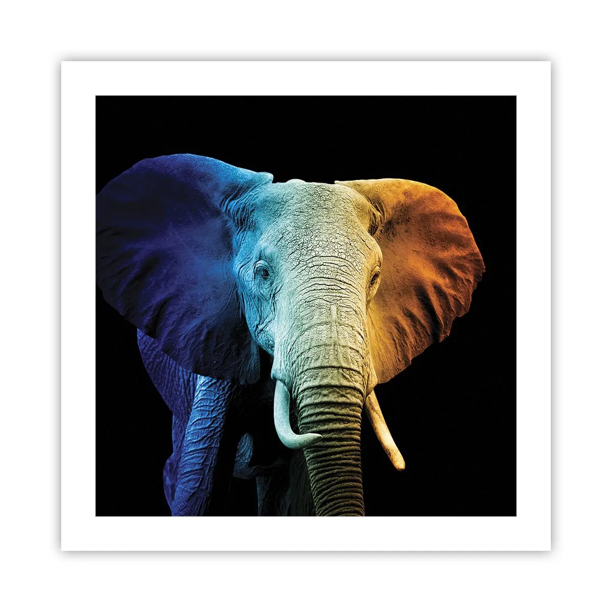 Poszter - Excentrikus, nem különc - 50x50 cm
