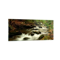 120x50 cm | Panoramikus