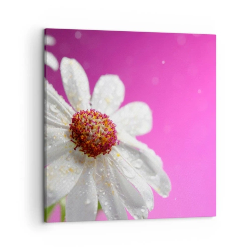 Vászonkép - A Szépségében szerény - 50x50 cm