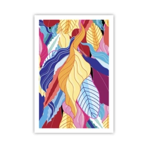 Poszter - Színes rendetlenség - 61x91 cm
