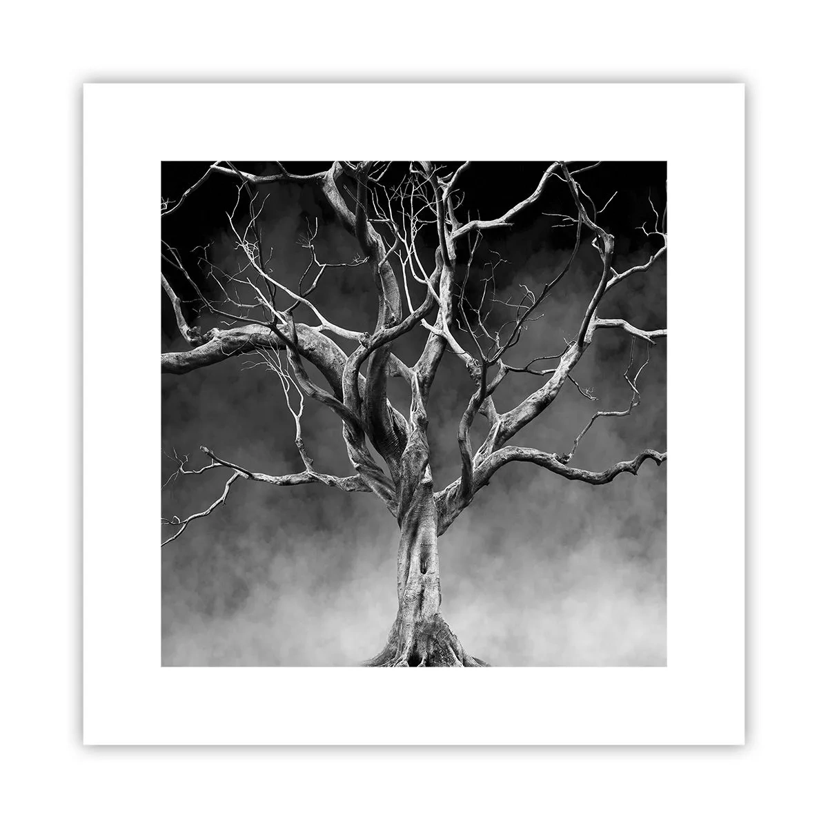 Poszter - Ősi és szent - 30x30 cm