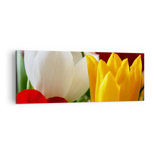 Vászonkép - Tulipán láz - 140x50 cm