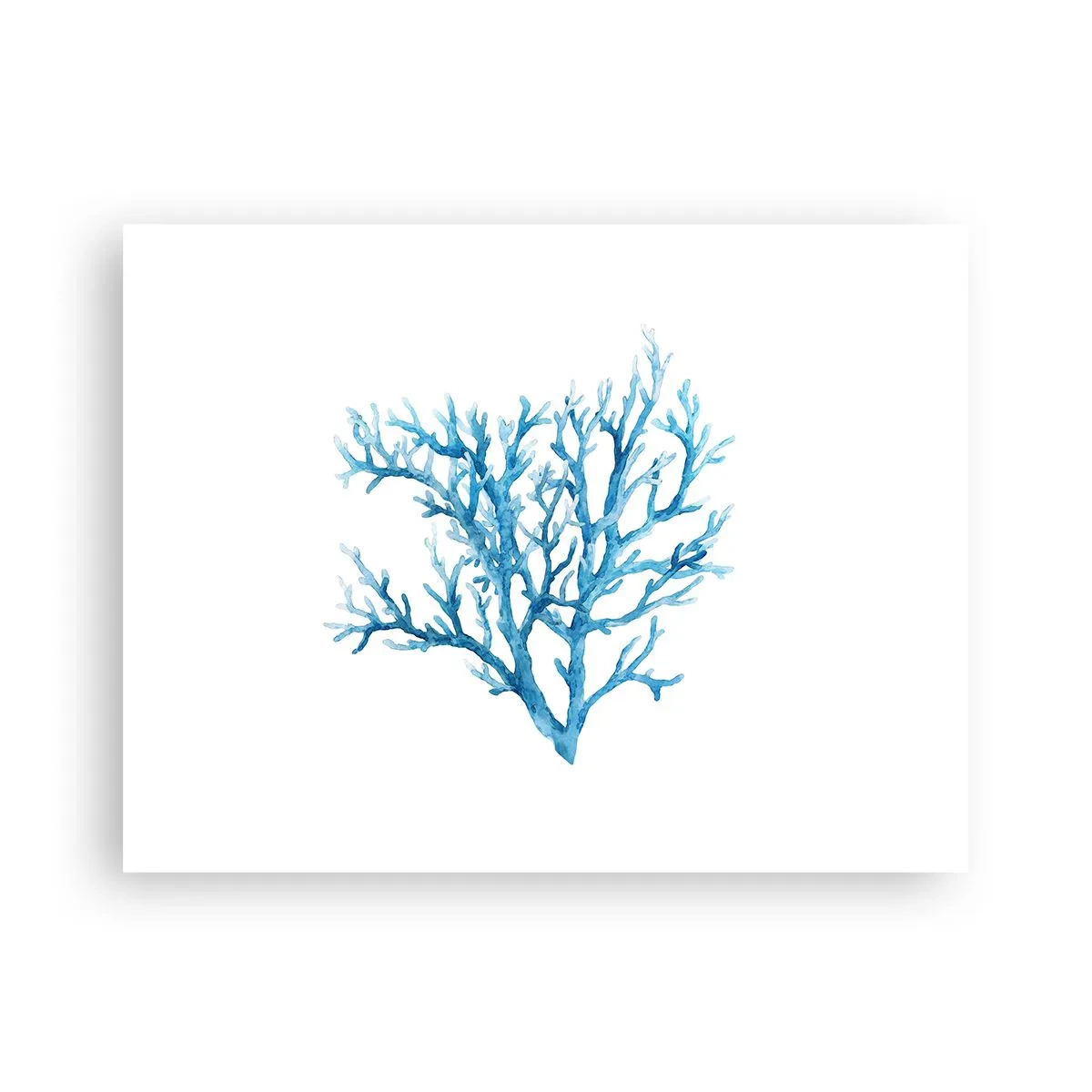 Poszter - Tengeri filigrán - 40x30 cm