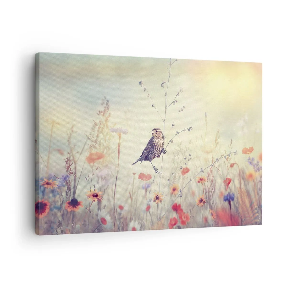 Vászonkép - Egy madár egy színes réten, pasztell színekben - 70x50cm - Madárportré egy réttel a háttérben - Modern fali dekoráció nappalihoz és hálószobához ARTTOR
