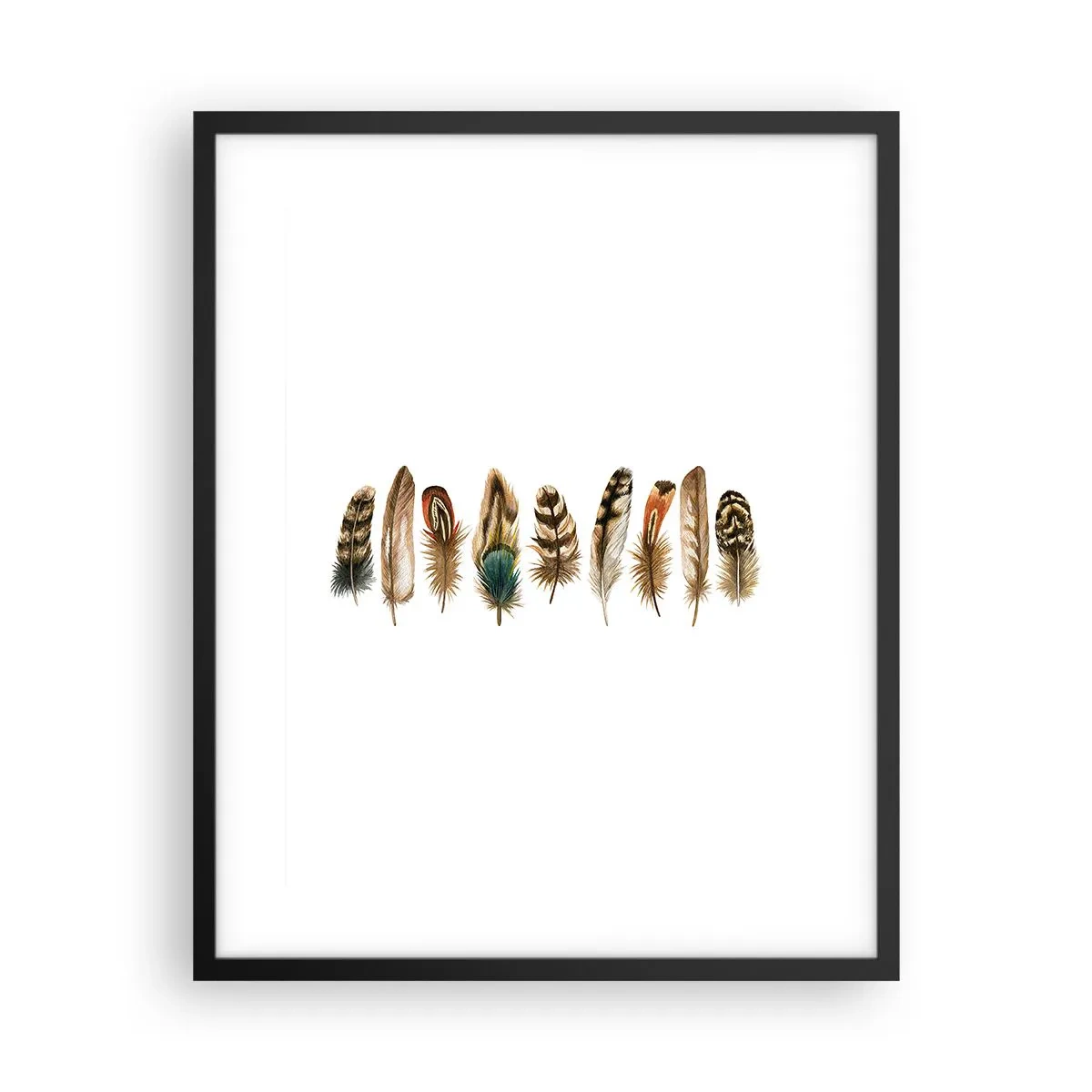Poszter fehér keretben - Tollas variáció - 40x50 cm
