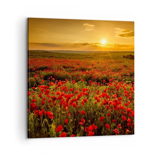 Vászonkép - Susogó rétek hullámai között, a virág özön között - 60x60 cm