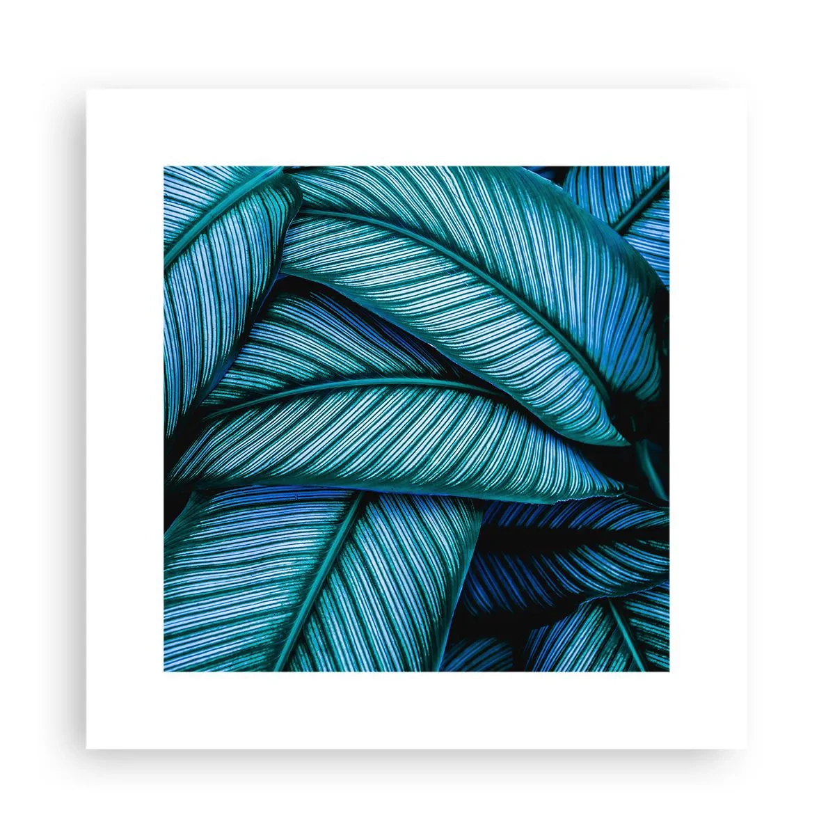 Poszter - Életvonalak - 30x30 cm