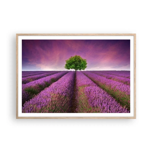 Poszter világos tölgy keretben - Levendulaföldeken - 100x70 cm