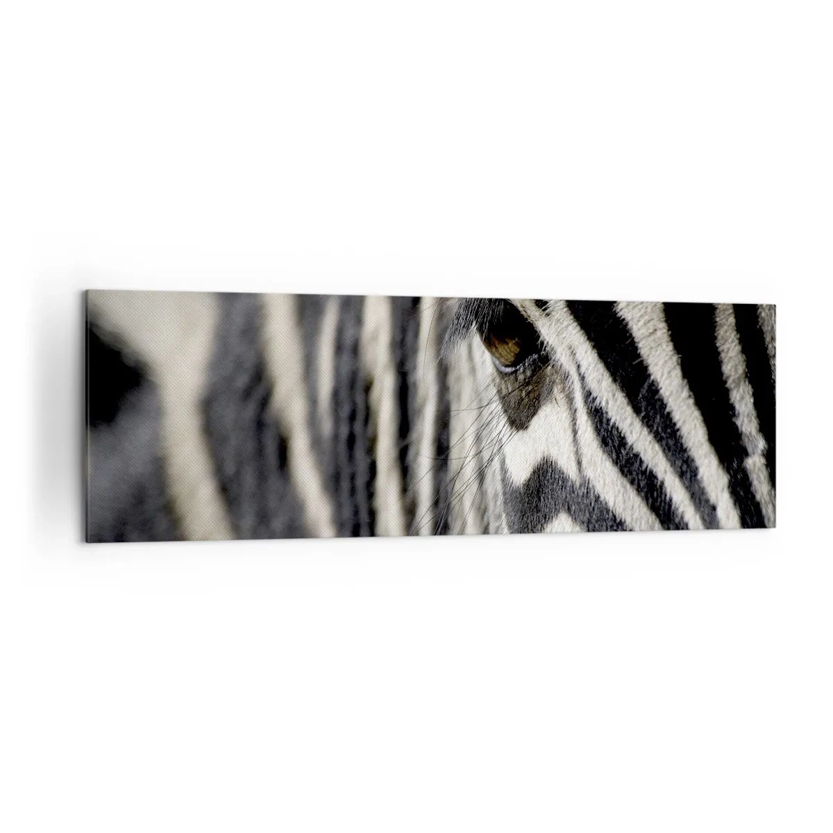 Vászonkép - Csíkos portré - 160x50 cm