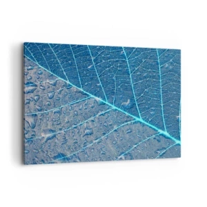 Vászonkép - Az élet kékben - 100x70 cm