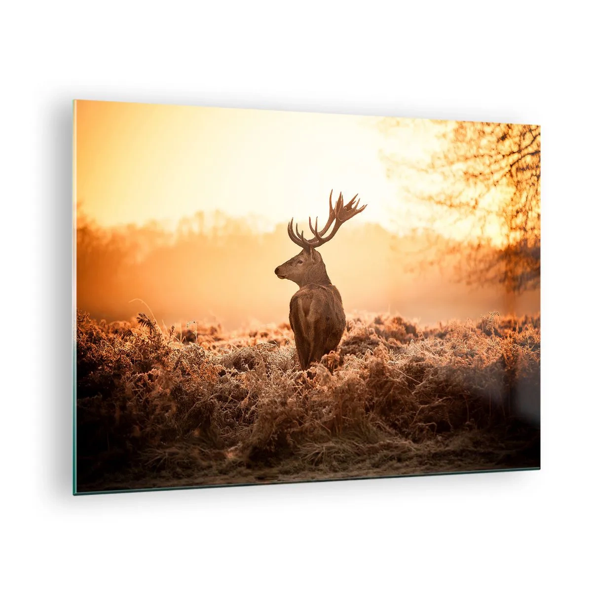 Üveg kép - Szarvas a napfelkelte hátterében egy természeti tájban - 70x50cm - A birtok ura - Modern fali dekoráció nappalihoz és hálószobához ARTTOR