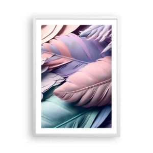 Poszter fekete keretben - Madár sikk - 50x70 cm