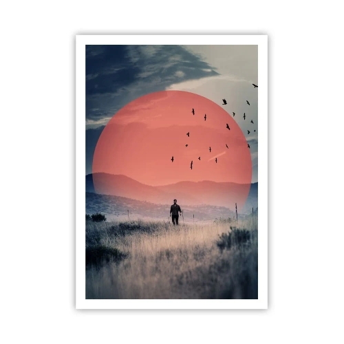 Poszter - Elemében - 70x100 cm