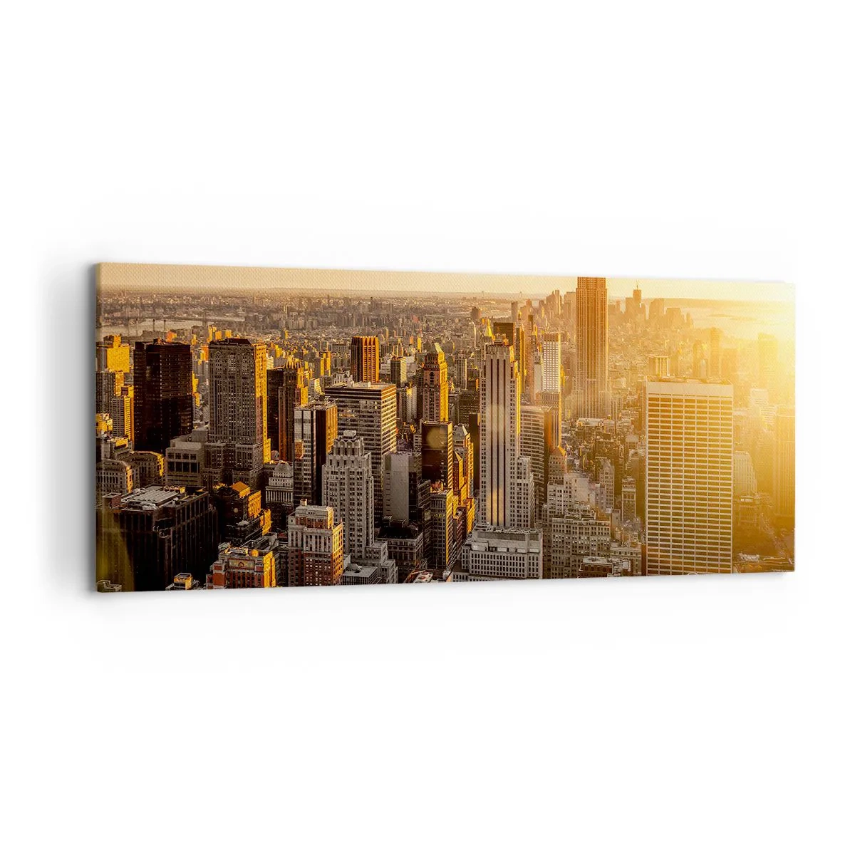 Vászonkép - Növekedni a napon - 120x50 cm