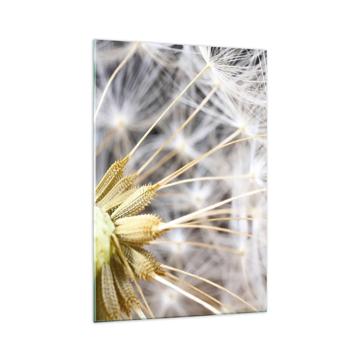 Üveg kép - Közvetlenül az indulás előtt - 70x100 cm