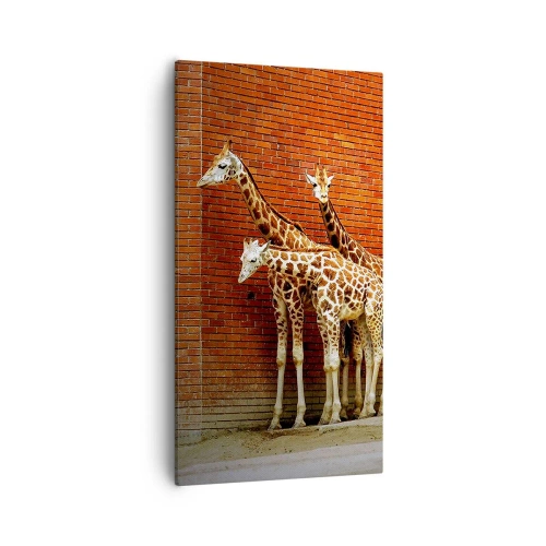 Vászonkép - Láttok akácot? - 55x100 cm