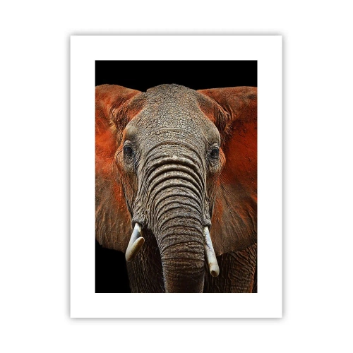 Poszter - Én vad vagyok, és te? - 30x40 cm