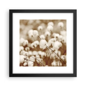 Poszter fehér keretben - Bolyhos termés - 30x30 cm