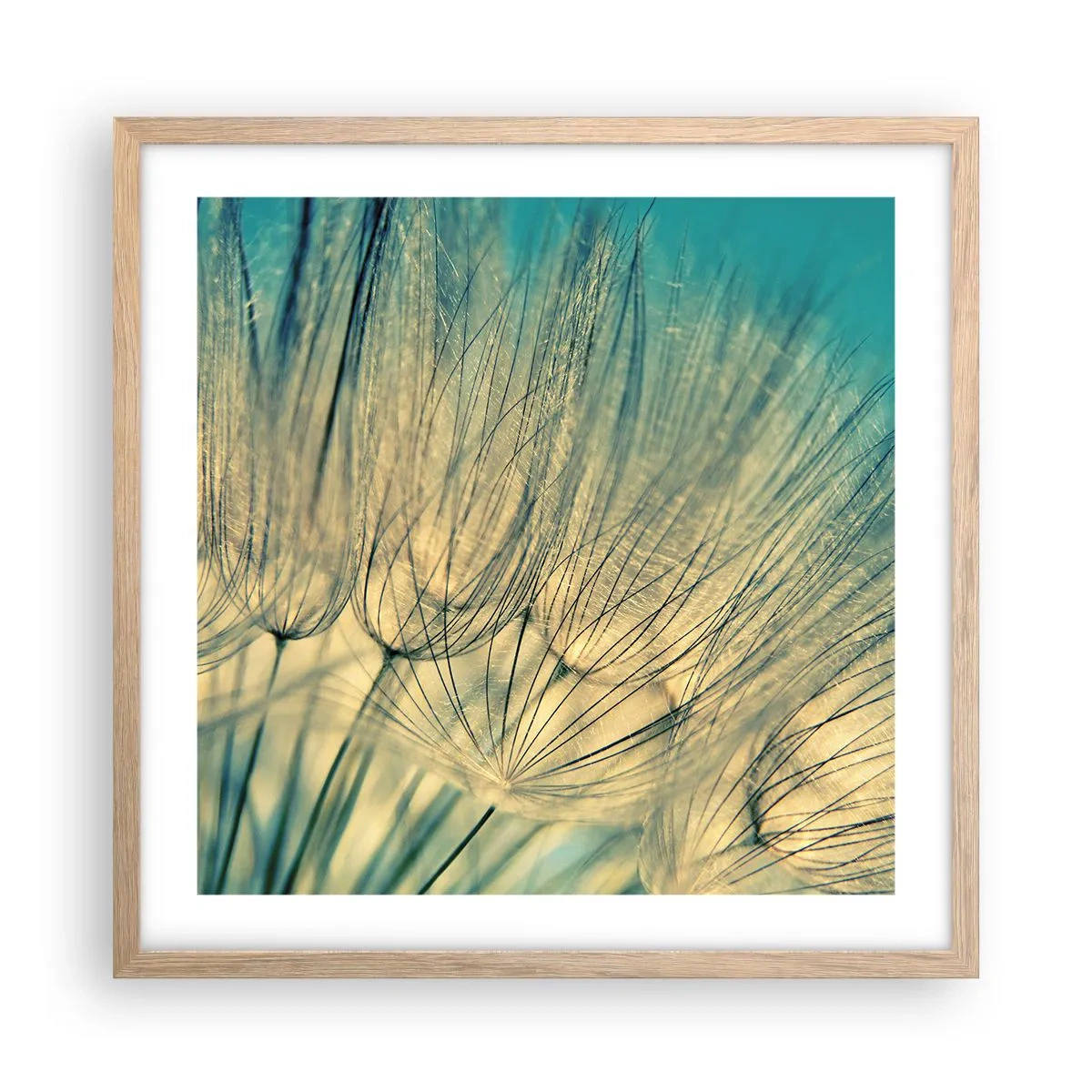 Poszter világos tölgy keretben - A szélre várva - 50x50 cm